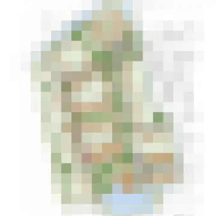 Boserf 9 Sint Philipsland thumbnail 8
