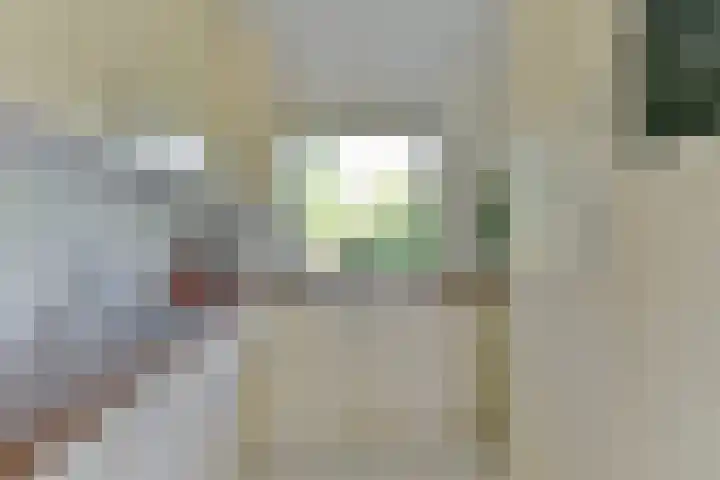 Bosfazant 11 Nieuwegein thumbnail 13