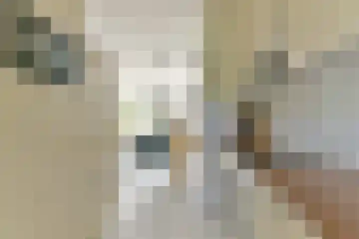 Bosfazant 11 Nieuwegein thumbnail 14