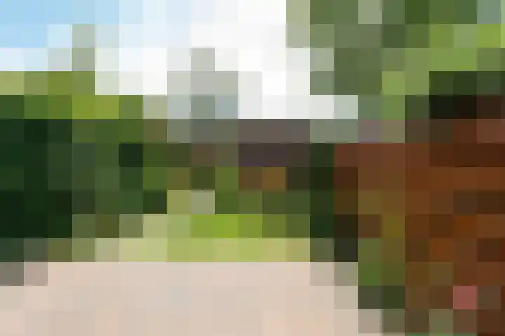 Bosfazant 11 Nieuwegein thumbnail 18