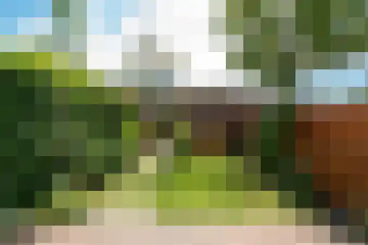 Bosfazant 11 Nieuwegein thumbnail 19