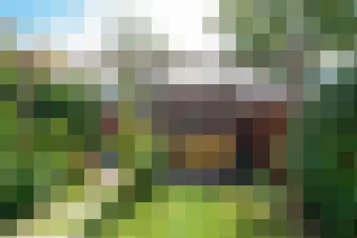 Bosfazant 11 Nieuwegein thumbnail 20