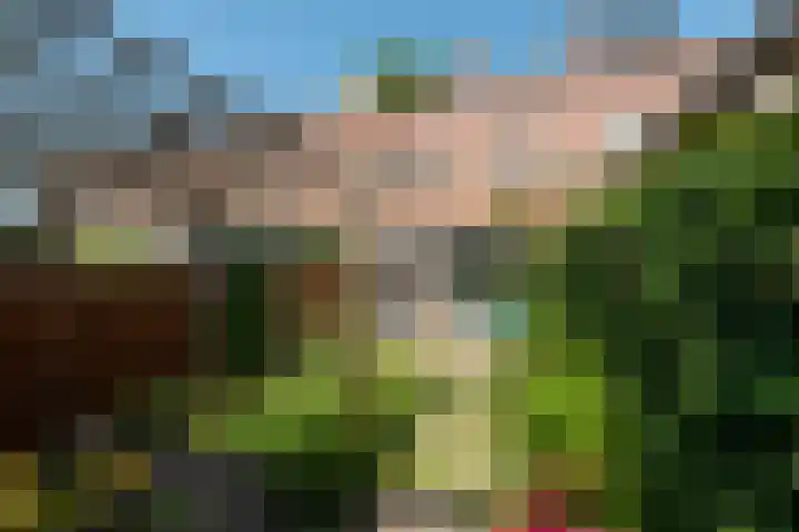 Bosfazant 11 Nieuwegein thumbnail 21