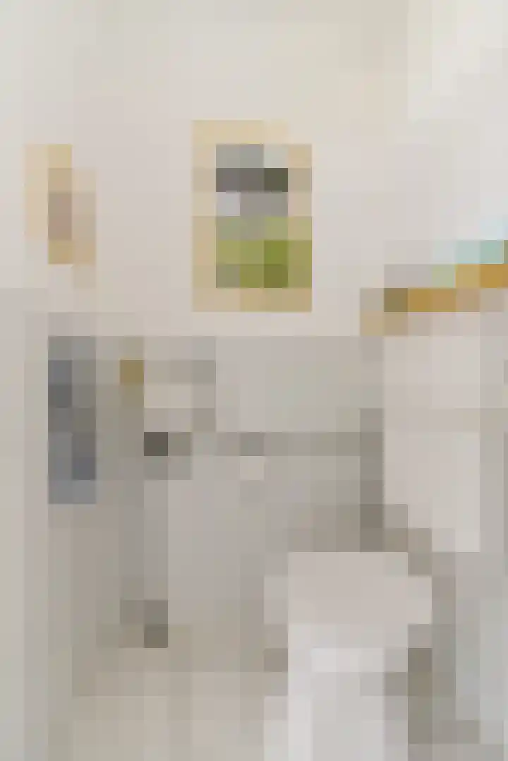 Bosfazant 11 Nieuwegein thumbnail 25