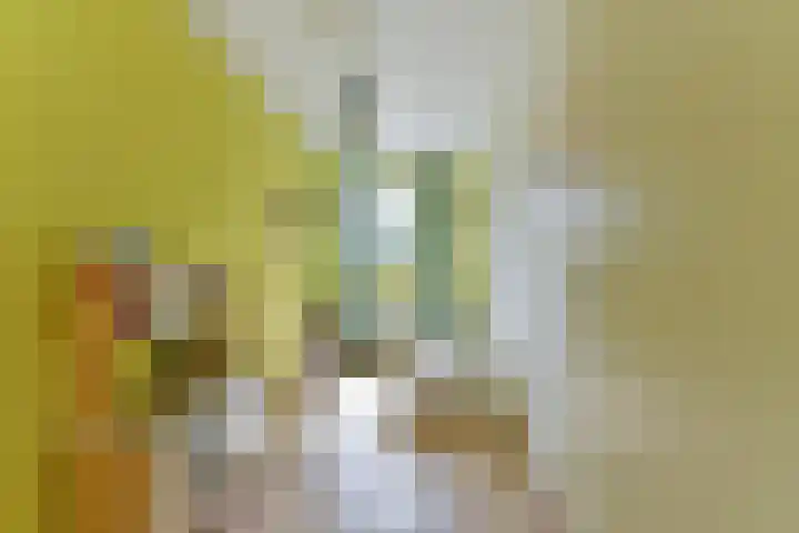 Bosfazant 11 Nieuwegein thumbnail 33