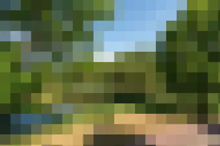 Bosfazant 11 Nieuwegein thumbnail 39