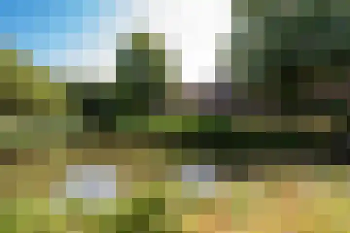 Bosfazant 11 Nieuwegein thumbnail 4