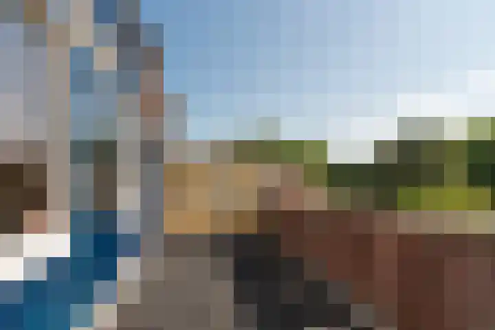 Bosfazant 11 Nieuwegein thumbnail 45