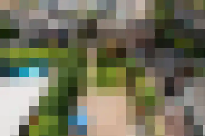 Bosfazant 11 Nieuwegein thumbnail 46