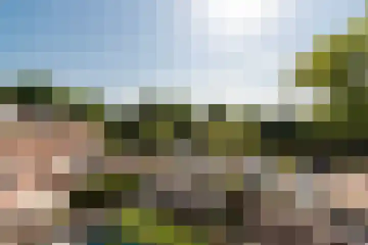 Bosfazant 11 Nieuwegein thumbnail 47