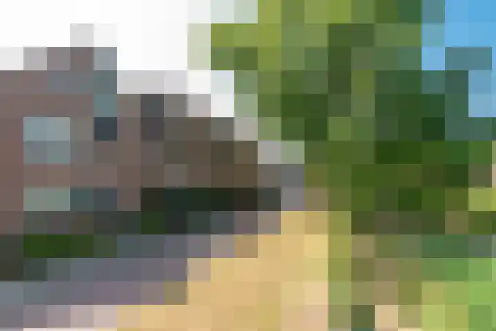 Bosfazant 11 Nieuwegein thumbnail 48