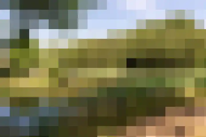 Bosfazant 11 Nieuwegein thumbnail 49