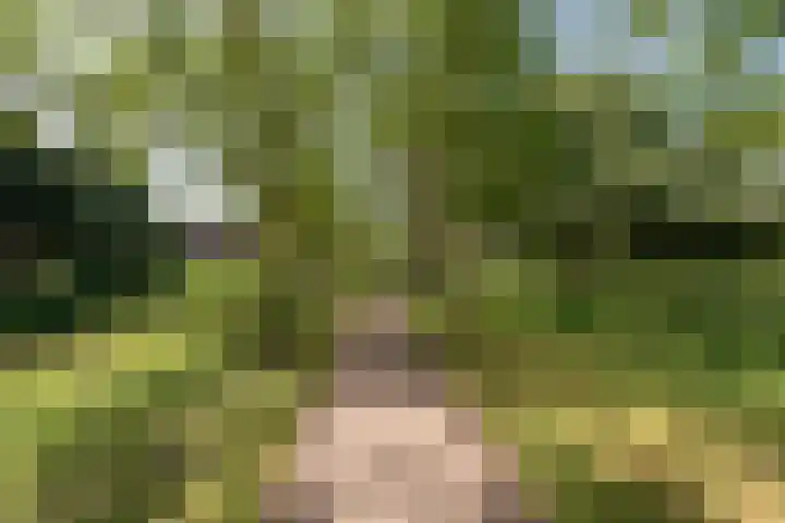 Bosfazant 11 Nieuwegein thumbnail 50
