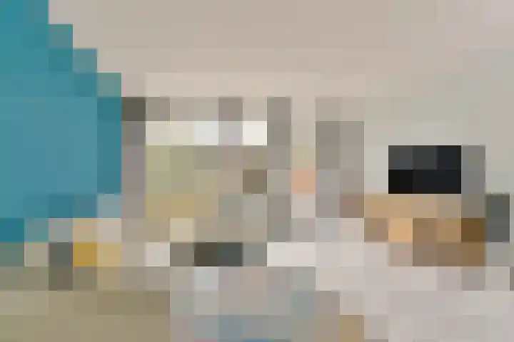 Bosfazant 11 Nieuwegein thumbnail 7