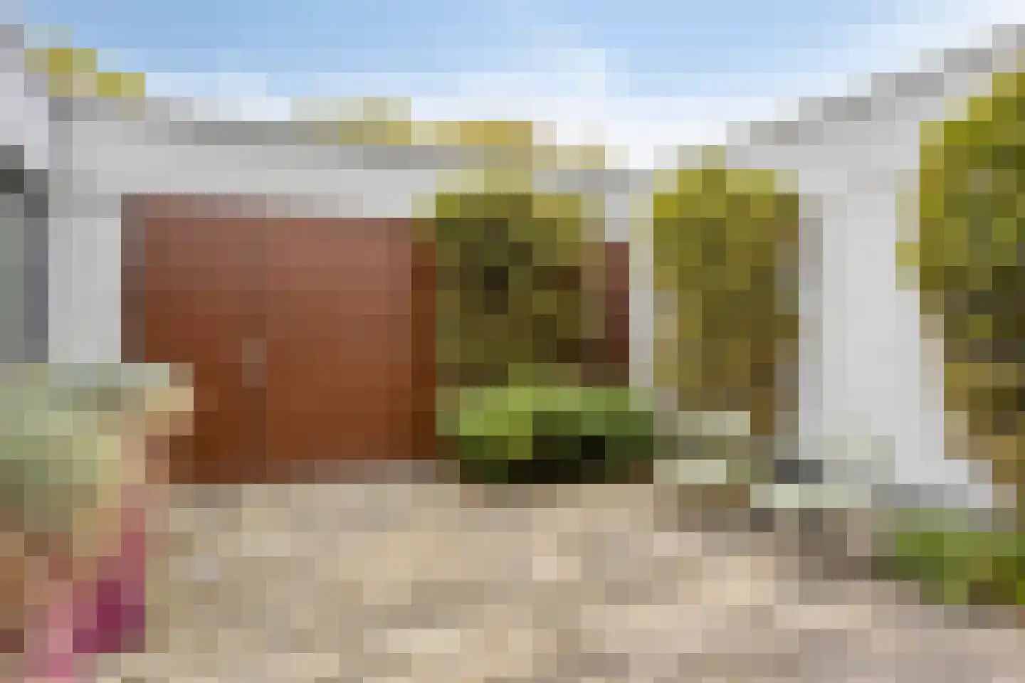 Bosfazant 125 Eindhoven thumbnail 18