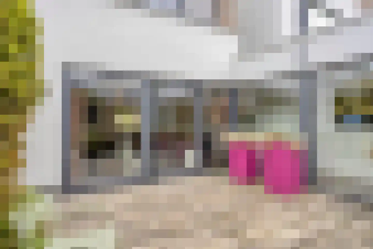 Bosfazant 125 Eindhoven thumbnail 19