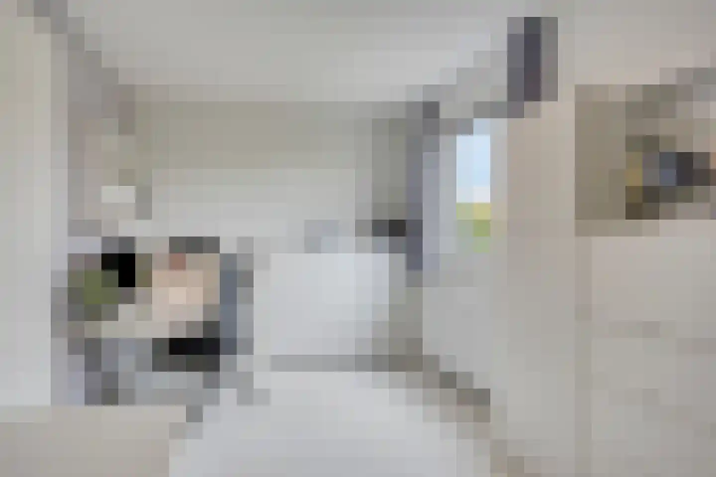 Bosfazant 125 Eindhoven thumbnail 23