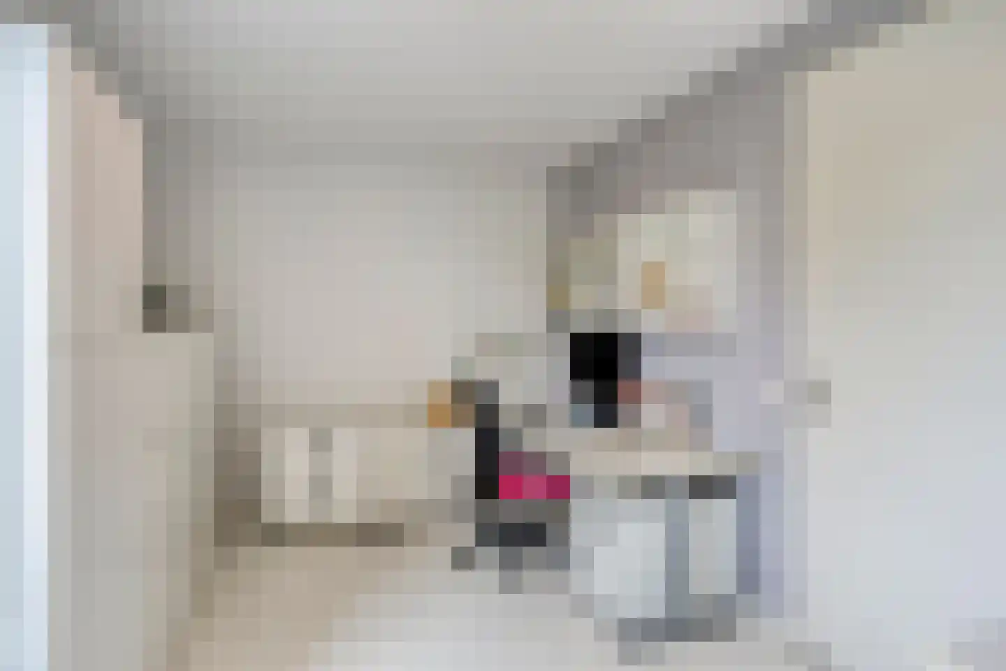 Bosfazant 125 Eindhoven thumbnail 24