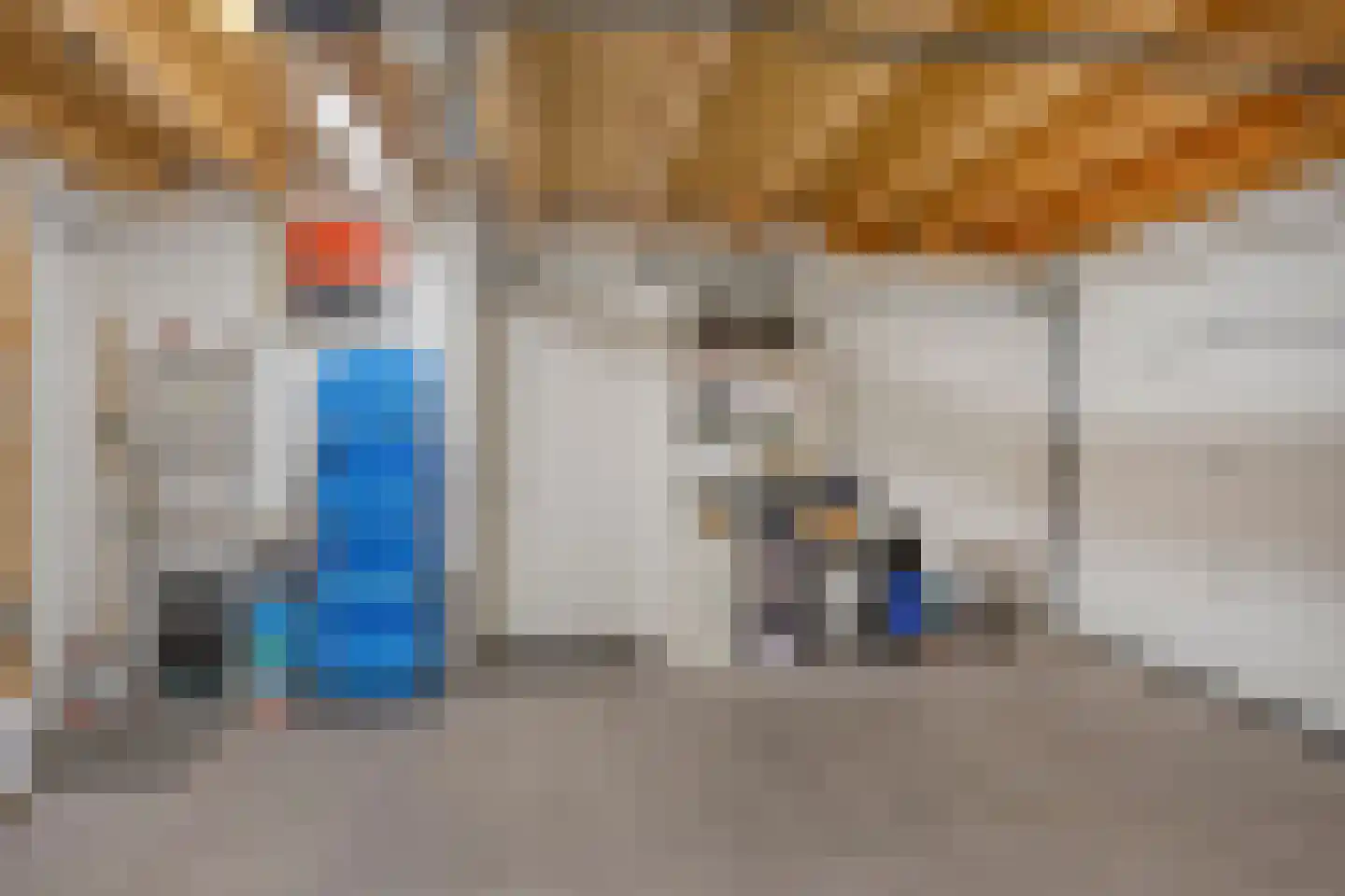 Bosfazant 125 Eindhoven thumbnail 36