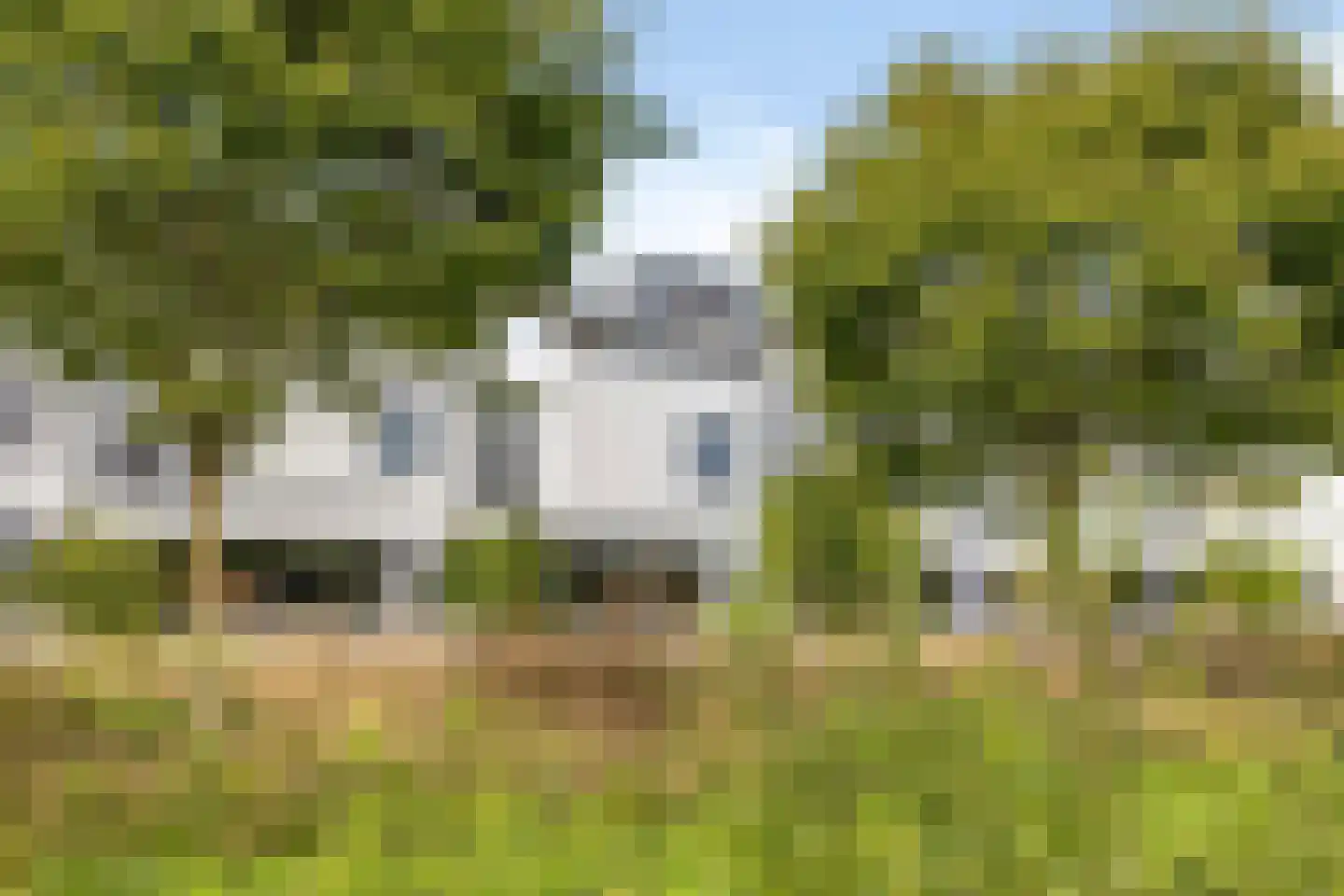 Bosfazant 125 Eindhoven thumbnail 39