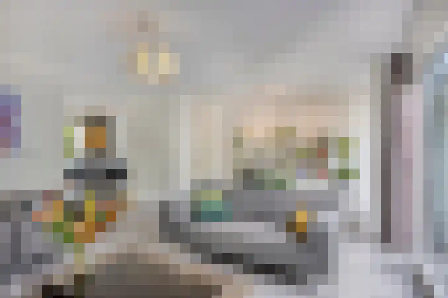Bosfazant 125 Eindhoven thumbnail 4