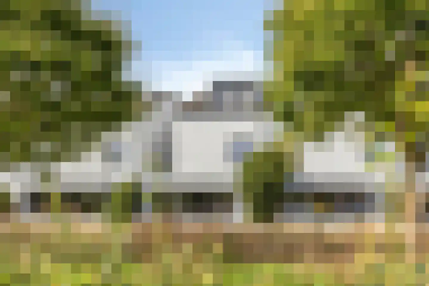Bosfazant 125 Eindhoven thumbnail 41
