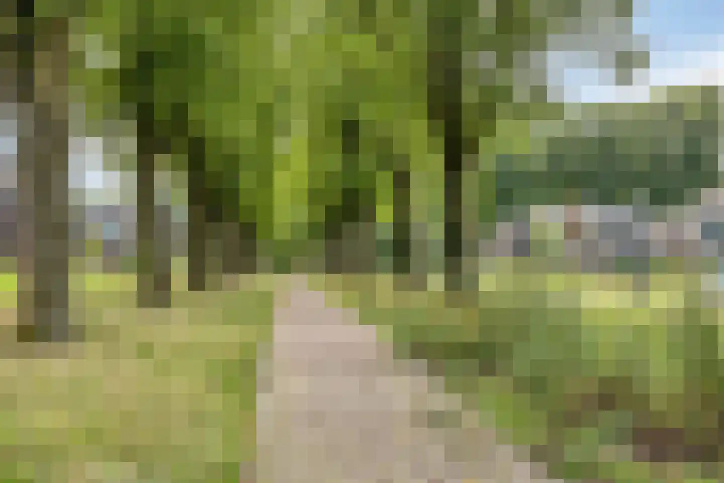 Bosfazant 125 Eindhoven thumbnail 43
