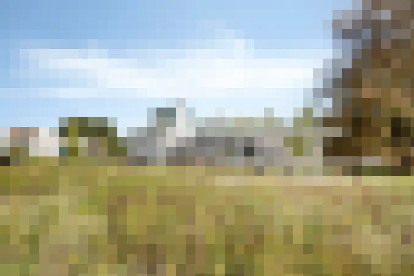 Bosfazant 125 Eindhoven thumbnail 44