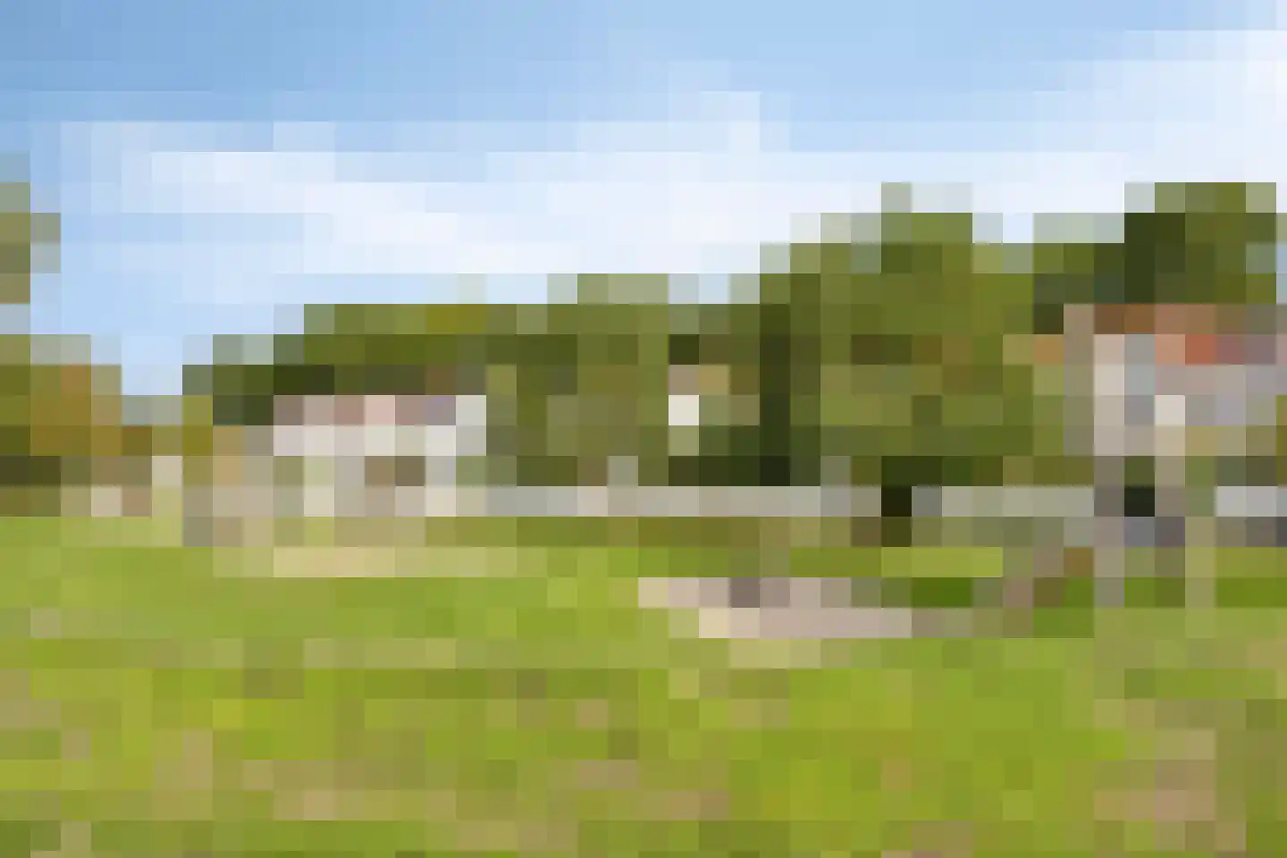 Bosfazant 125 Eindhoven thumbnail 45