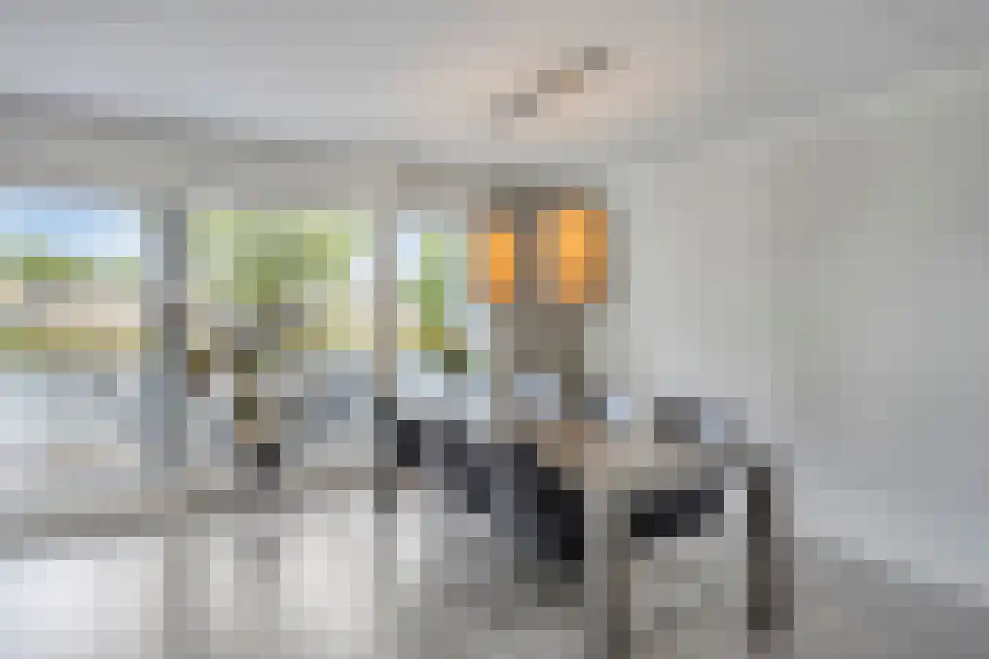Bosfazant 125 Eindhoven thumbnail 6