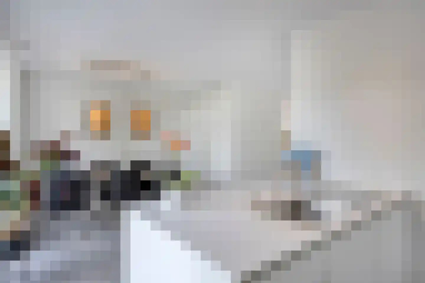 Bosfazant 125 Eindhoven thumbnail 9