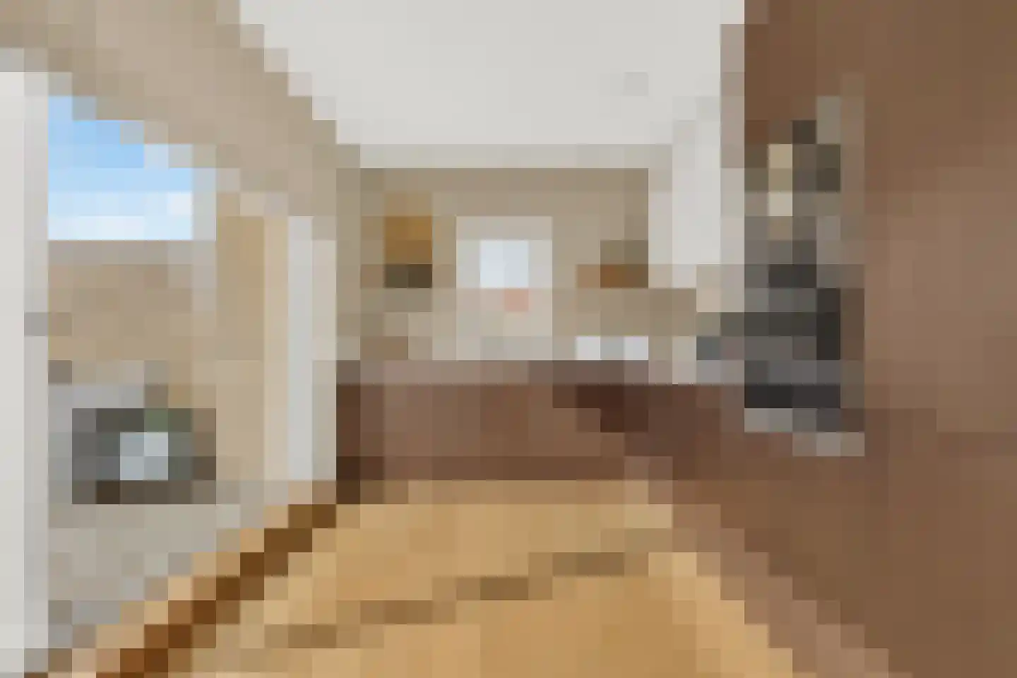 Bosfazant 143 Eindhoven thumbnail 22