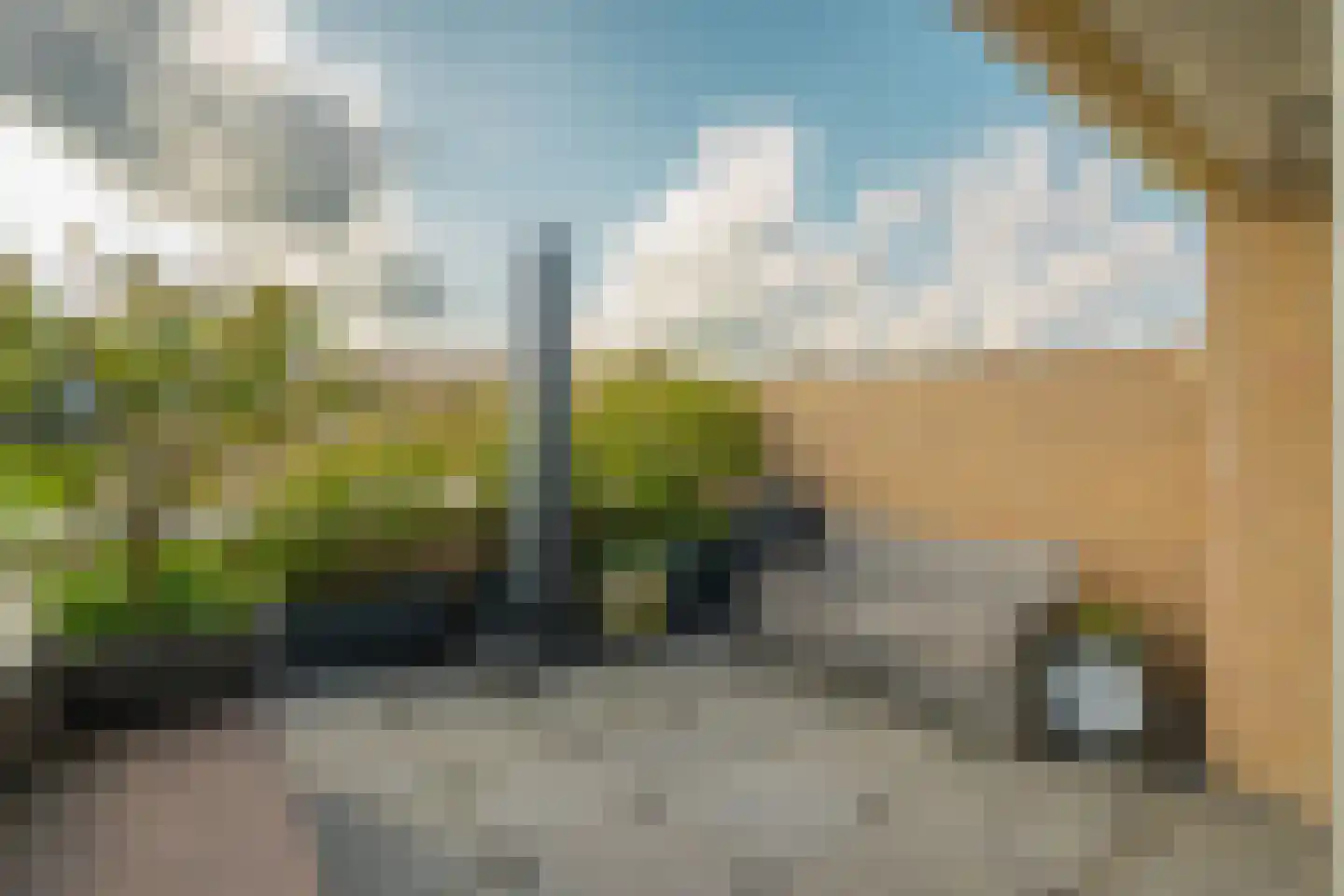 Bosfazant 143 Eindhoven thumbnail 24