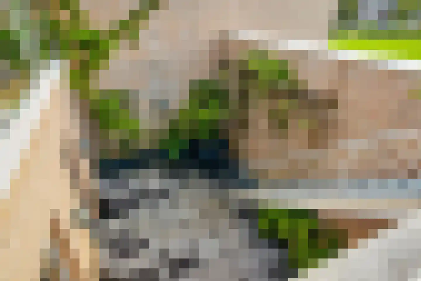Bosfazant 143 Eindhoven thumbnail 28