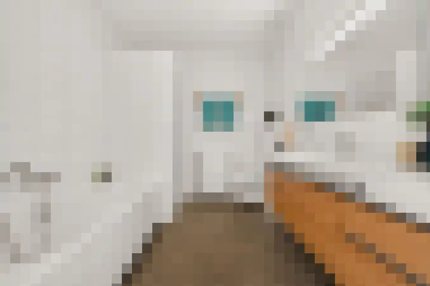 Bosfazant 143 Eindhoven thumbnail 36