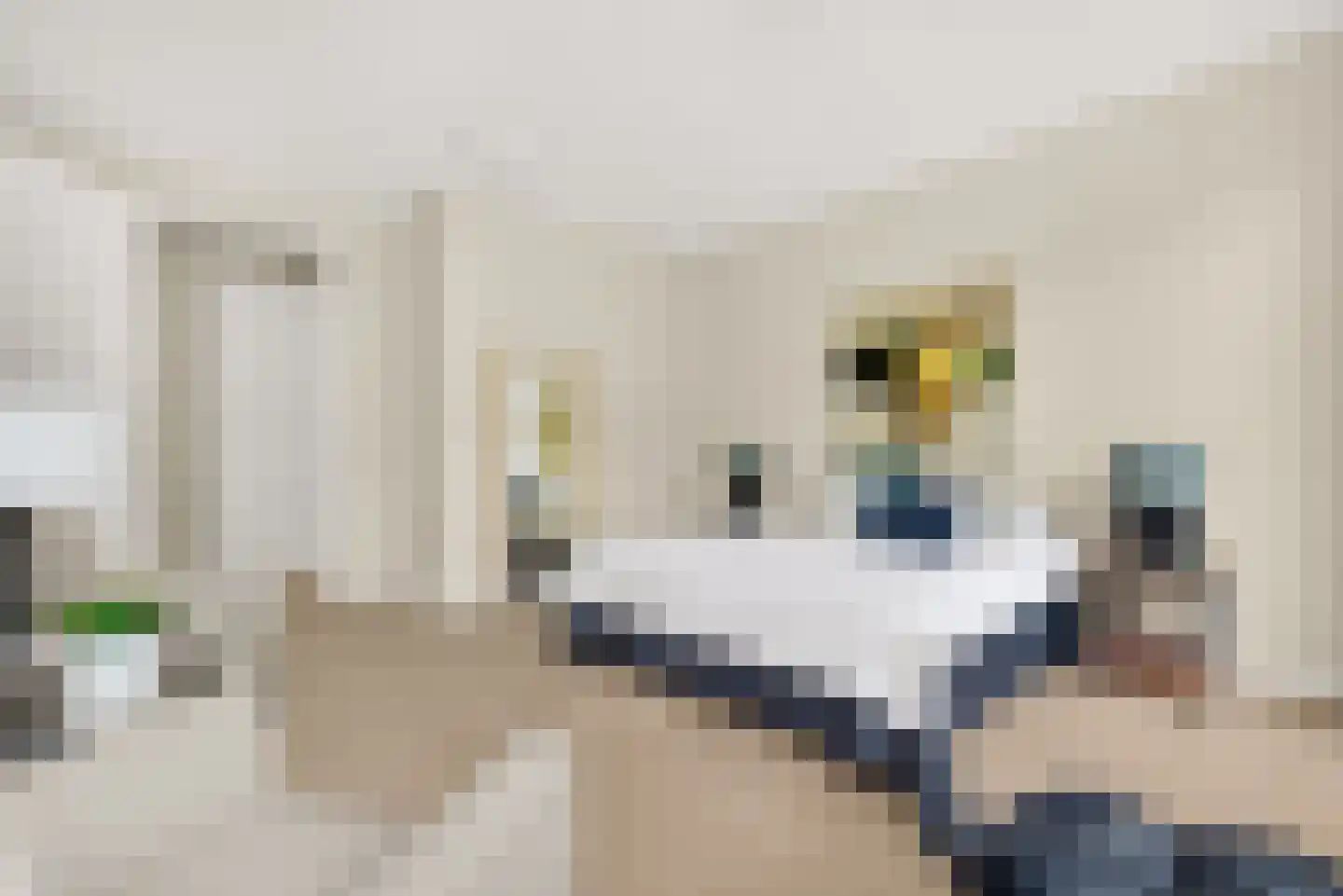 Bosfazant 143 Eindhoven thumbnail 41