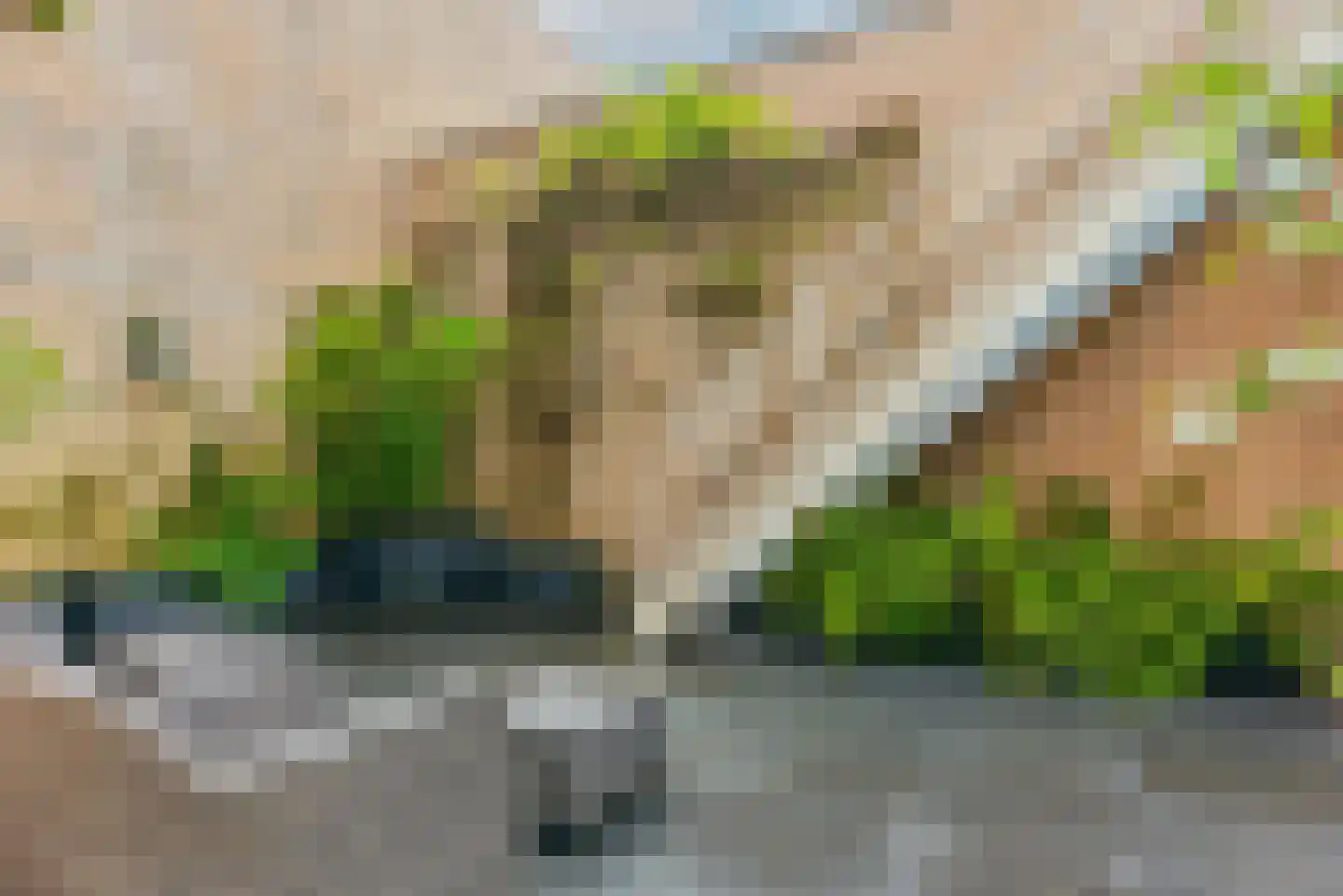 Bosfazant 143 Eindhoven thumbnail 42