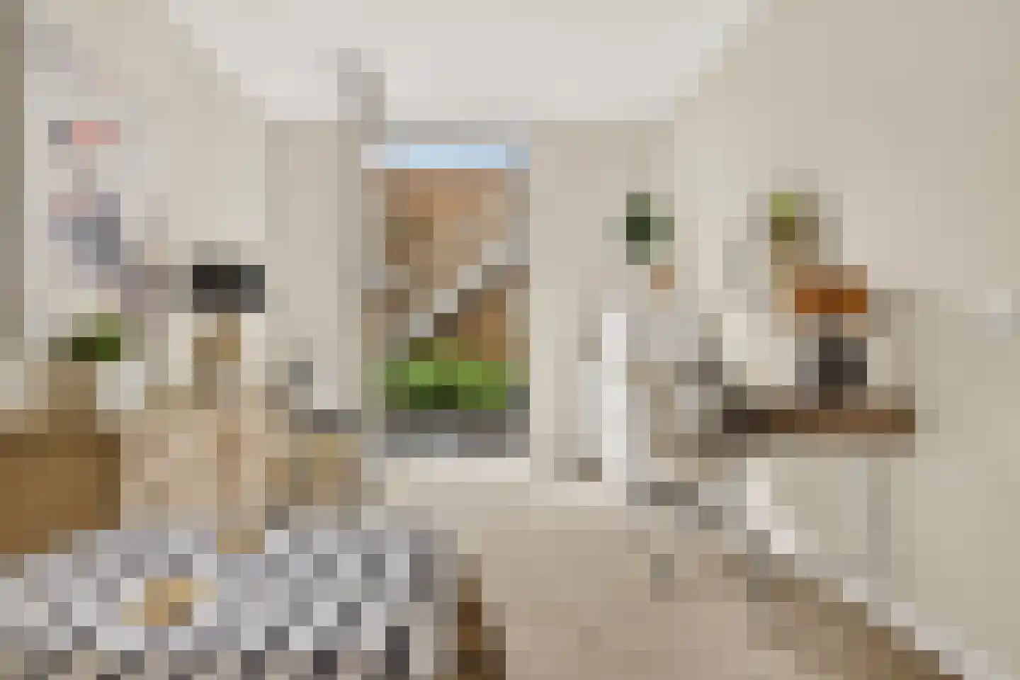 Bosfazant 143 Eindhoven thumbnail 46
