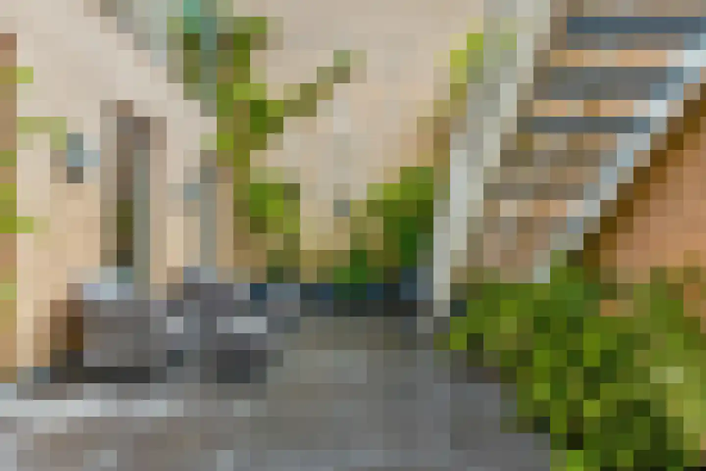 Bosfazant 143 Eindhoven thumbnail 5