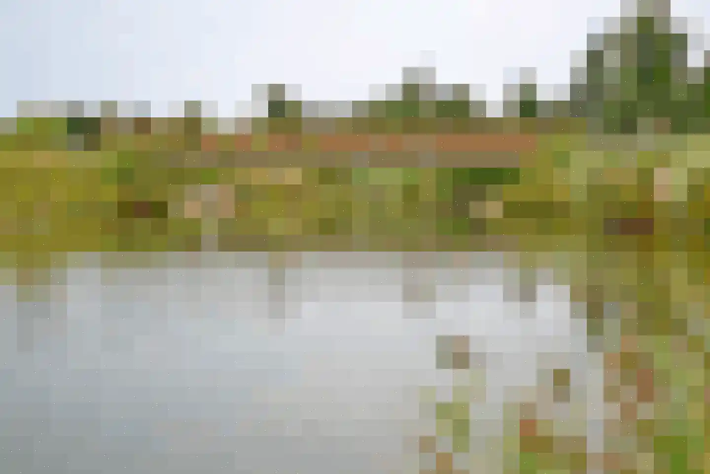 Bosfazant 143 Eindhoven thumbnail 57