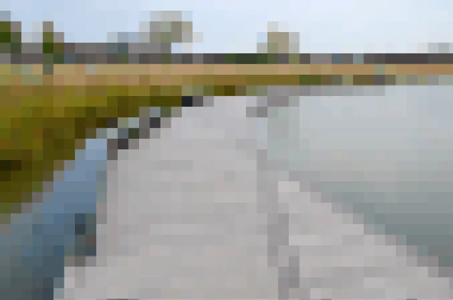 Bosfazant 143 Eindhoven thumbnail 59