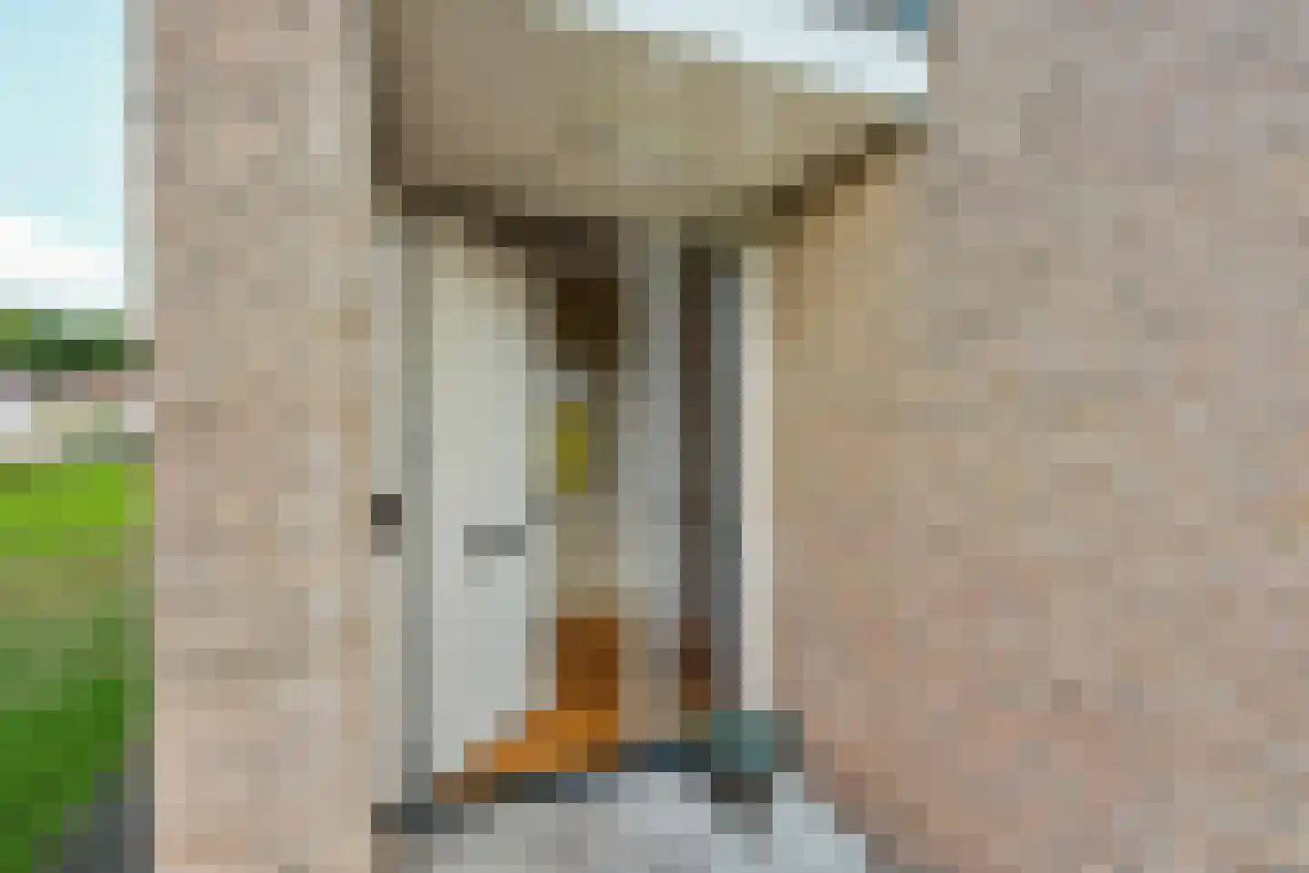 Bosfazant 143 Eindhoven thumbnail 8