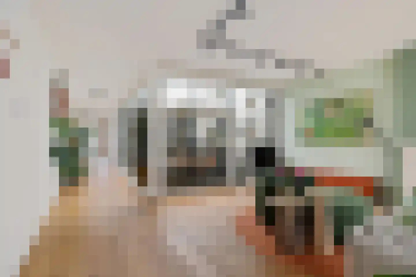 Bosfazant 17 Eindhoven thumbnail 12