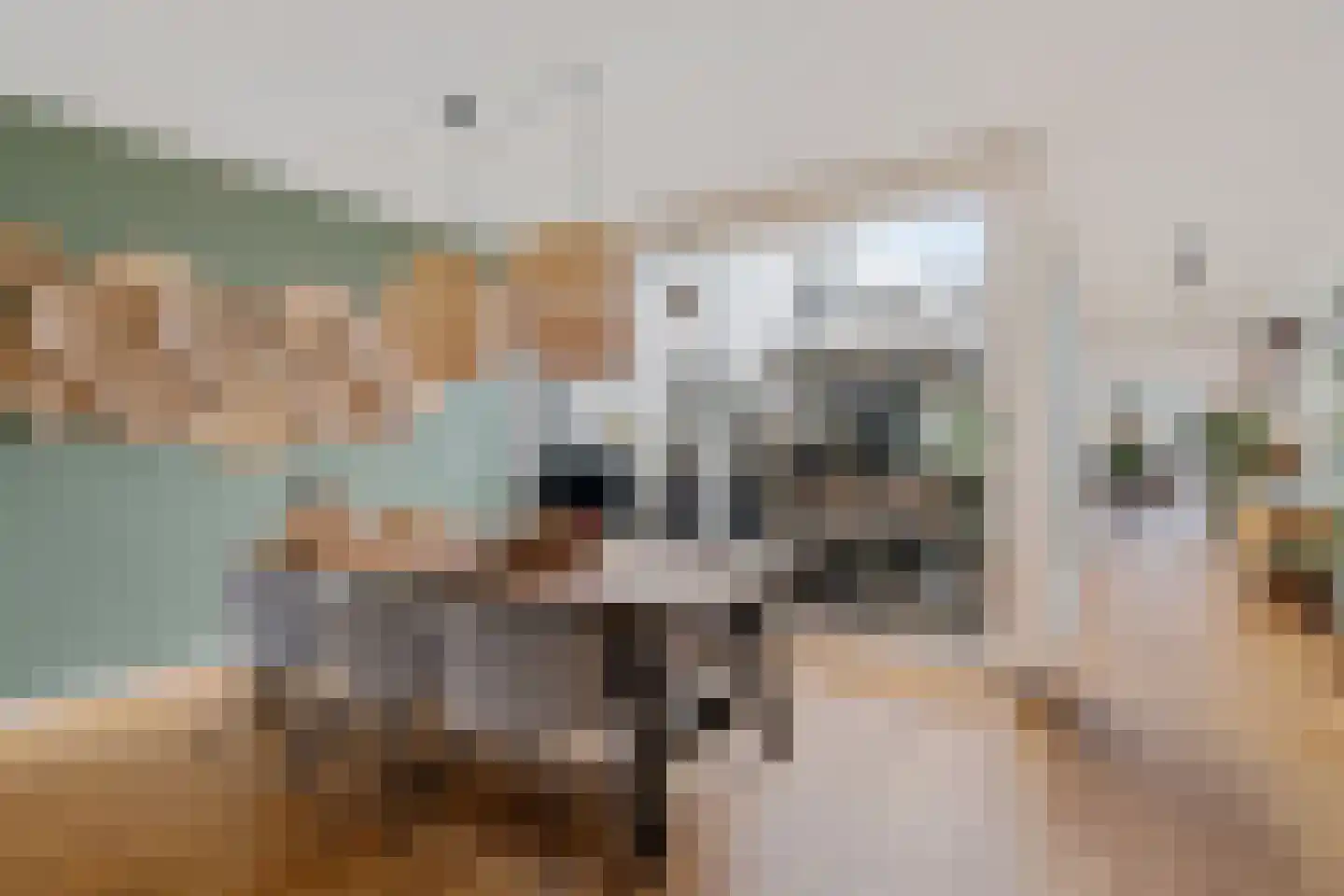 Bosfazant 17 Eindhoven thumbnail 13