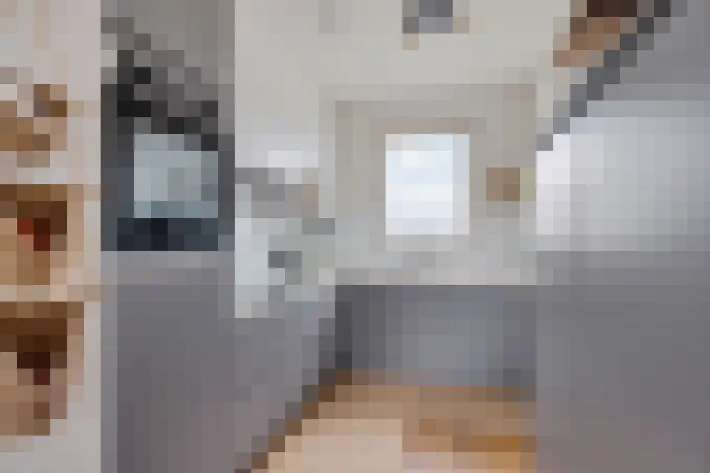 Bosfazant 17 Eindhoven thumbnail 15