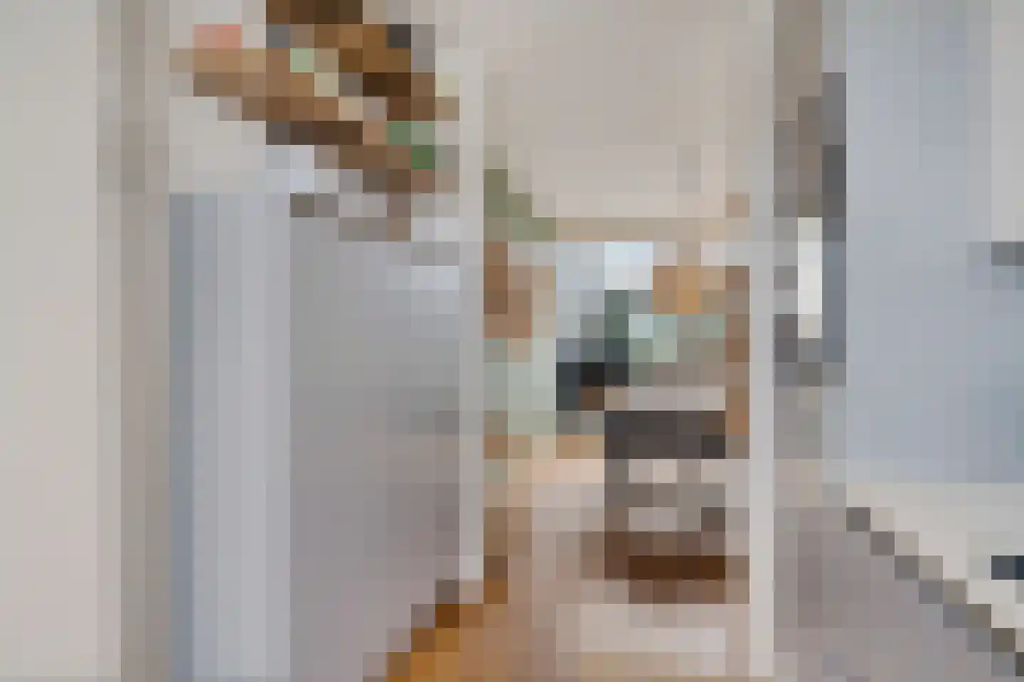 Bosfazant 17 Eindhoven thumbnail 17