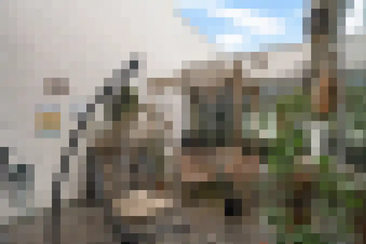 Bosfazant 17 Eindhoven thumbnail 18