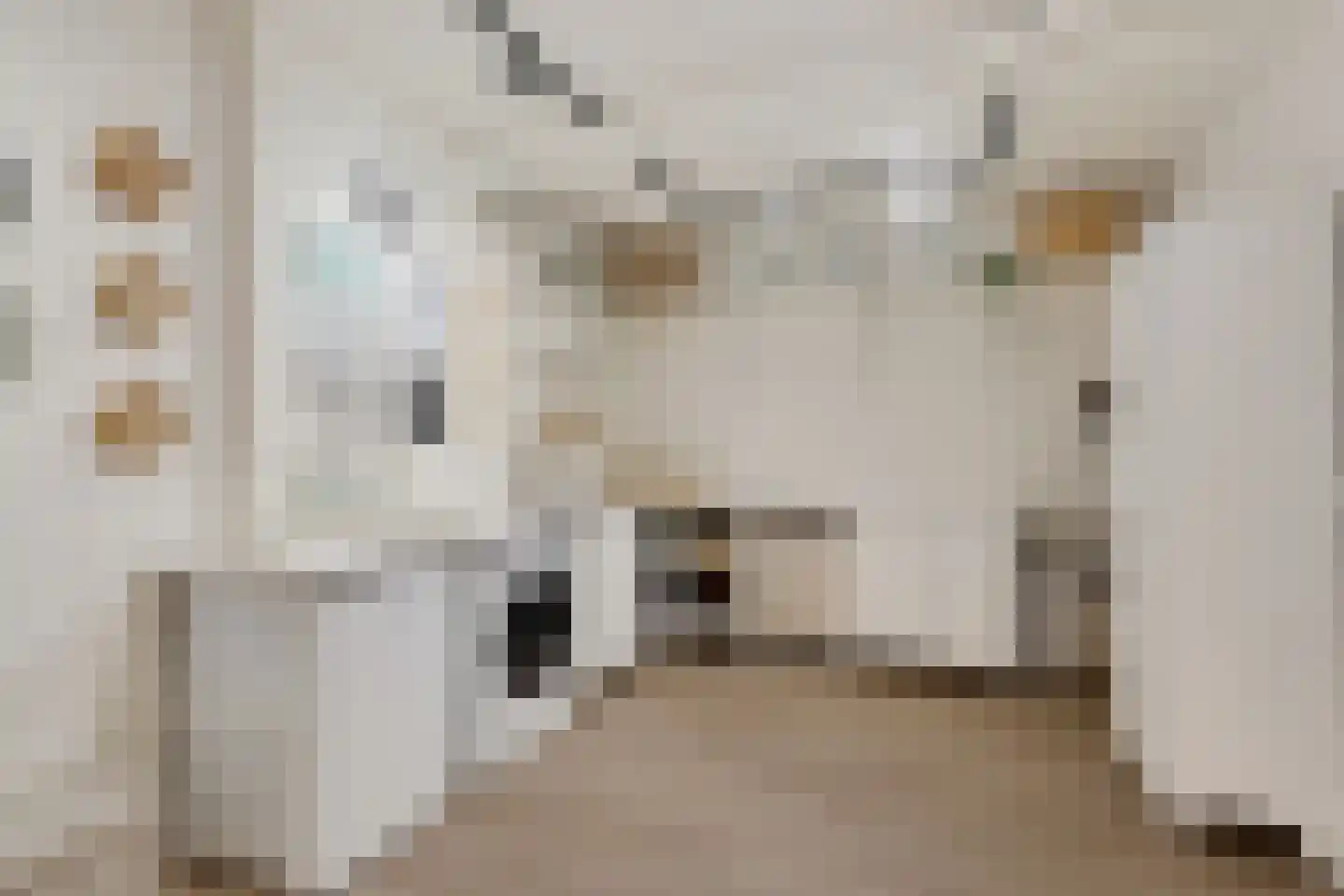 Bosfazant 17 Eindhoven thumbnail 31