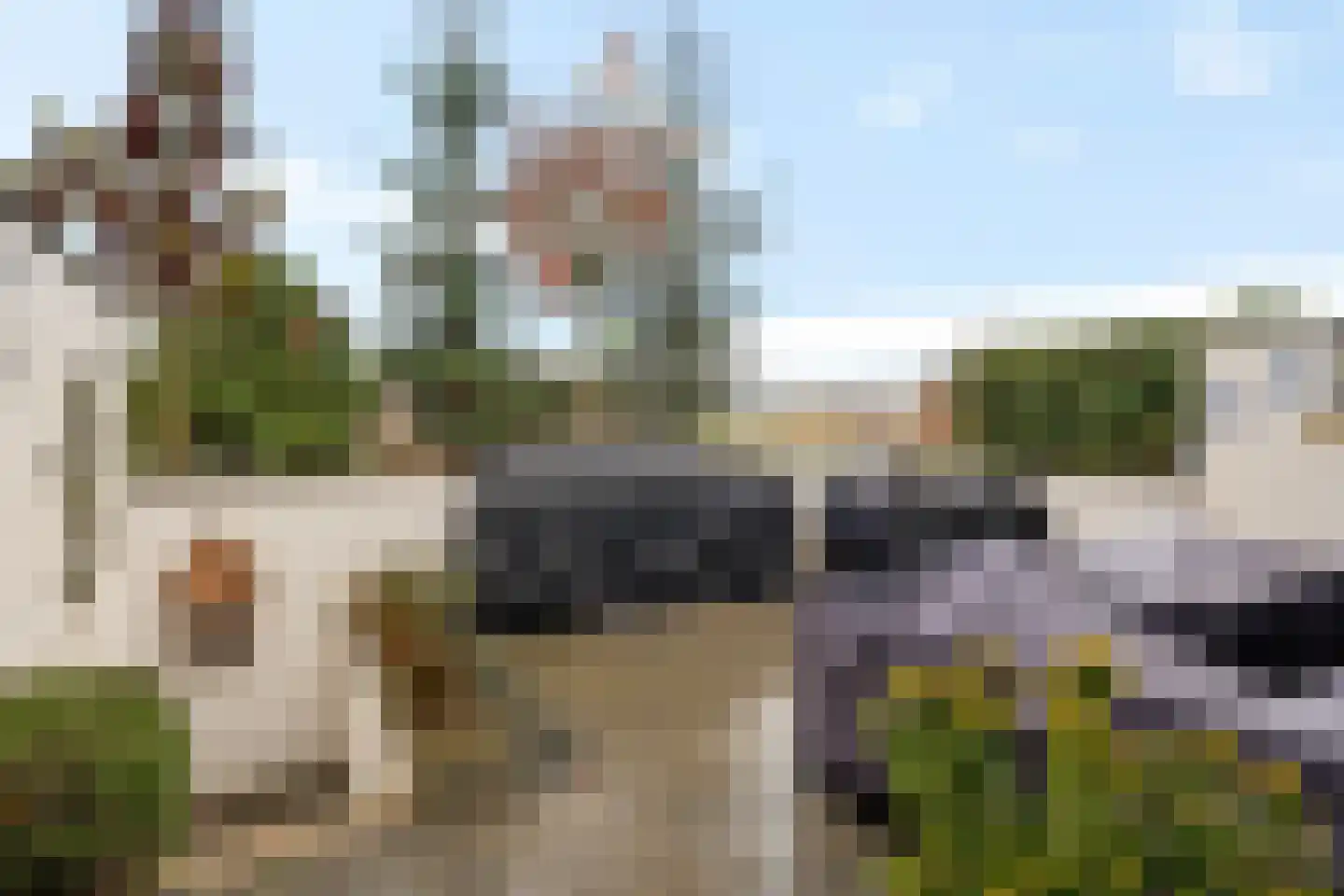 Bosfazant 17 Eindhoven thumbnail 33