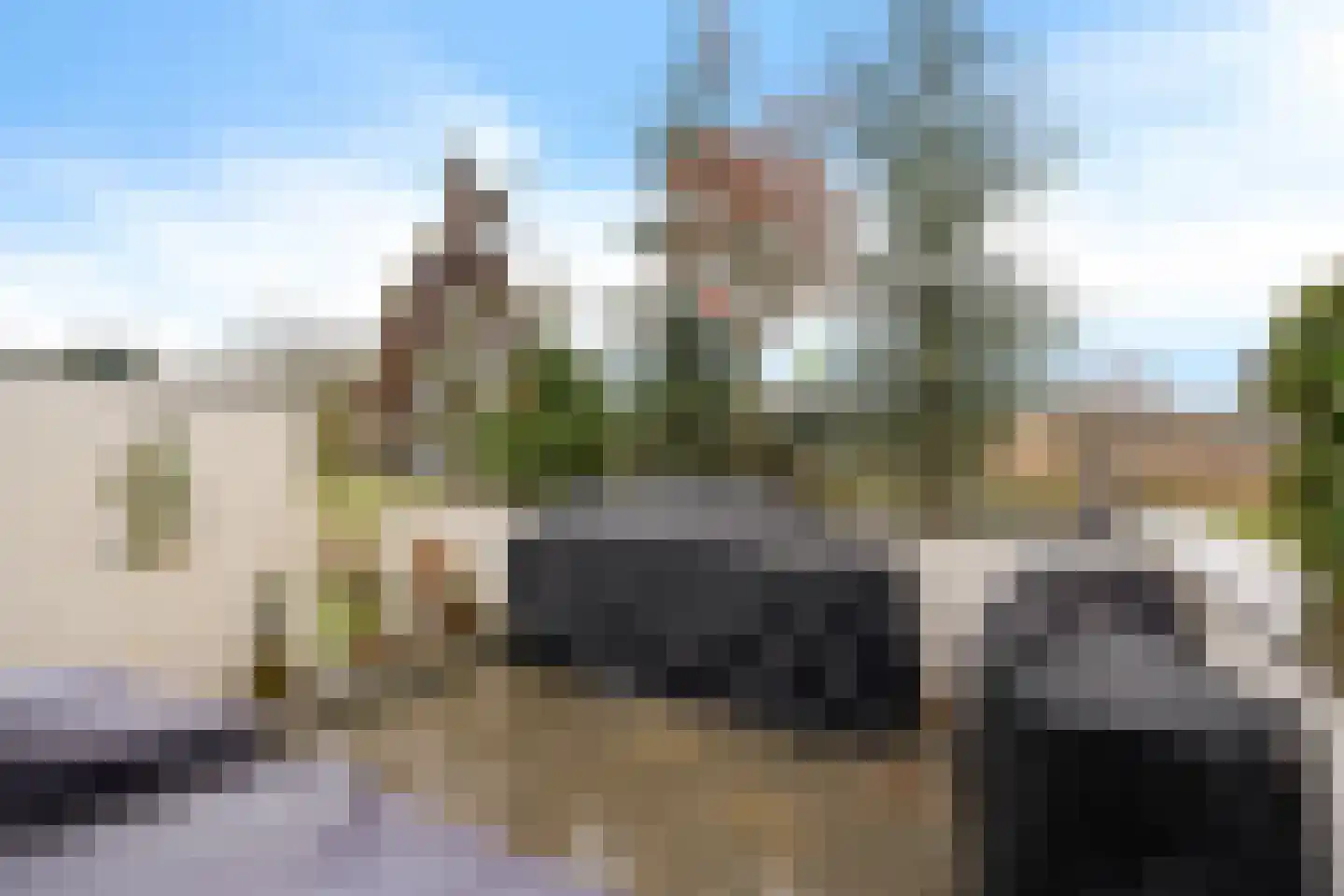 Bosfazant 17 Eindhoven thumbnail 34